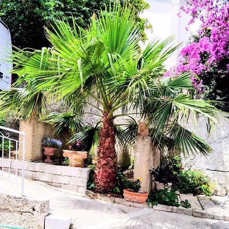 Apartament Daria Sea View House
