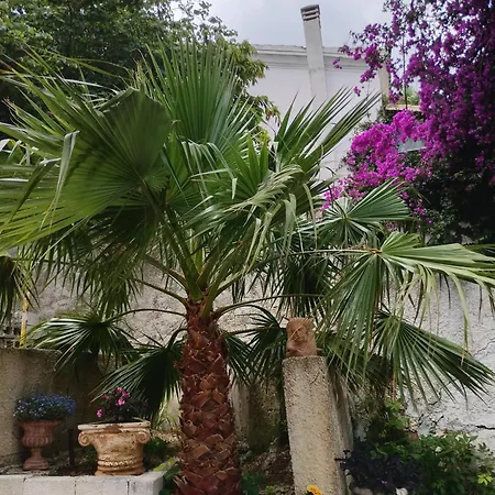 Daria Sea View House Apartament