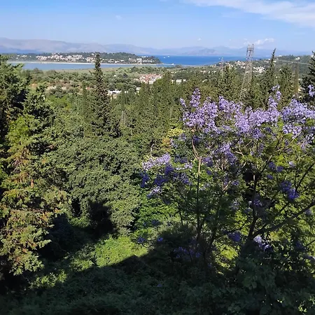 Daria Sea View House *